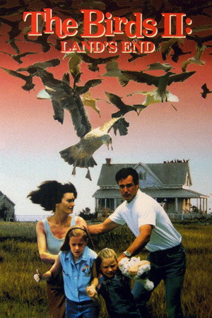 1Birds